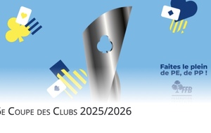 6e Coupe des clubs